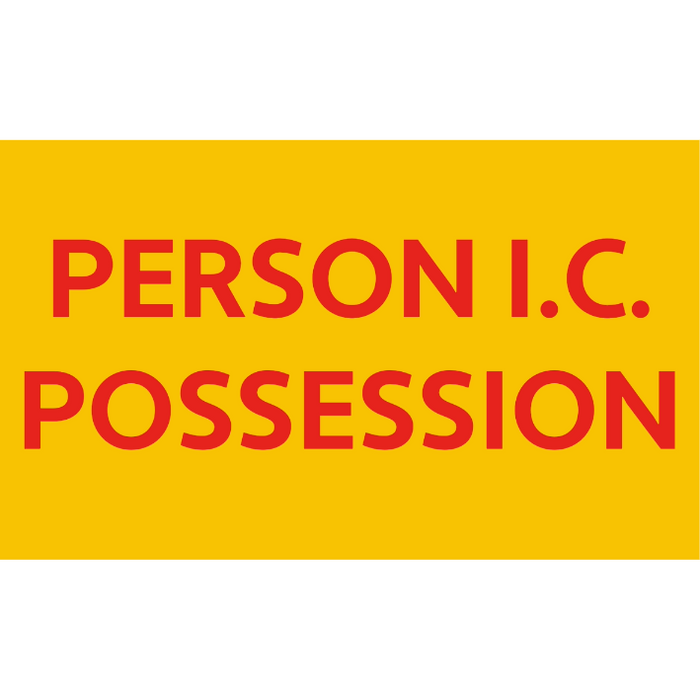 Person in Charge of Possession armlet